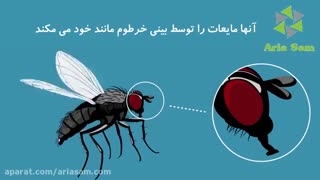 سم مگس کش آجیتا
