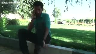 انواع پشه ها XD