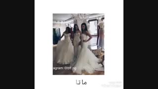 سلامتی همه ی