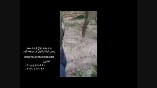 آموزش کشاورزی