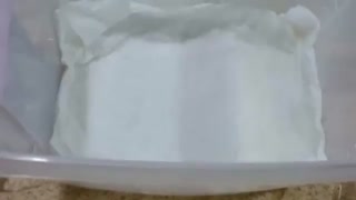 نهال گردو | نهالستان مهندس سعید قاسمی