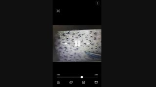 کاشت مو با روش جراحی (اف آی تی). دکتر ابراهیم مقیمی ۰۹۱۲۶۸۶۴۳۰۸ لیپوست