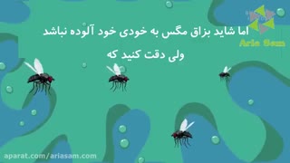 سم کشنده مگس-آجیتا