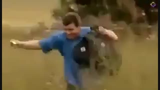 خیلی شغل خوبیه