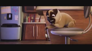 فیلم کوتاه قهوه