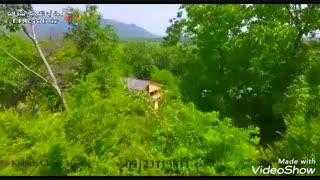 کلبه چوبی بلوط در ماسال