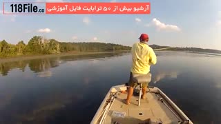 صید گروهی ماهی ها با چند ترفند ابتدایی