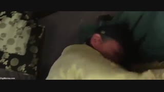 فیلم کره ایRampantl +زیرنویس چسبیده با بازی هیون بین