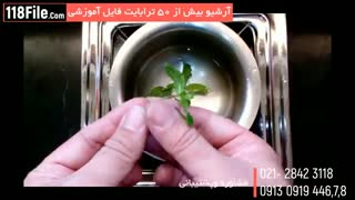 مراحل راه اندازی کافی شاپ داری حرفه ای با کمترین هزینه ها