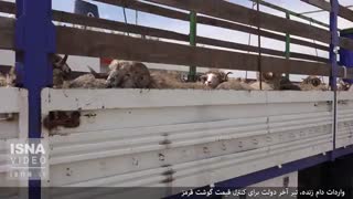 تیر آخر برای کنترل قیمت گوشت