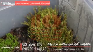 تاتو روی دست با طرح های سه بعدی