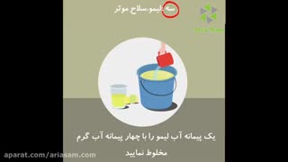 دفع مورچه ها با 8 روش آسان