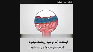 ایستاده آب ننوشید! | دکتر امیر طاهری