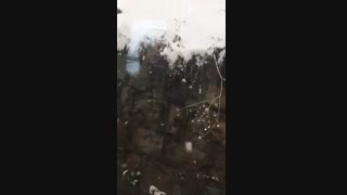 جنگ حیات قسمت اول