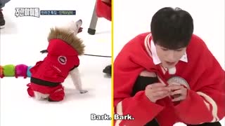 قسمت ۳۳۶ weekly idol از گروه های monsta x .seventeen .exid  and jeonghwa با زیرنویس انلاین