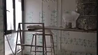 بازسازی ساختمان و دکوراسیون داخلی شاددل