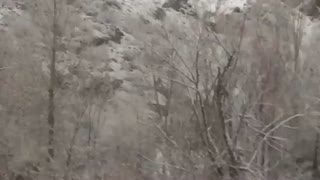 جنگ حیات قسمت سوم