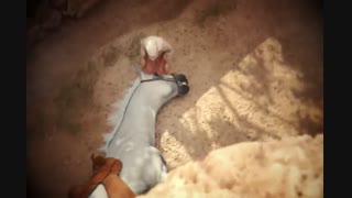 شاه سلامت دهم (داستانی از زمان حضرت رضا علیه السلام )