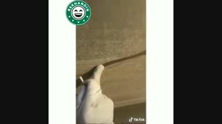 خلاقیت با گوش پاک کن