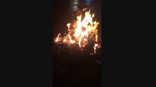 دوست گلمون دنبال شع