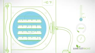 خشک کن انجمادی 7