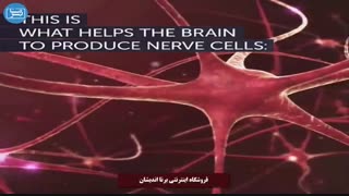 آیا سلولهای عصبی توانایی بازیابی دارند؟