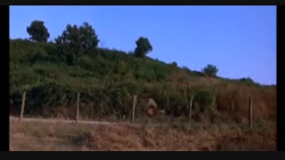 مستند پارادیزو _کارگردان : ابراهیم شفیعی _Paradiso