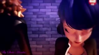 Marinette & Cat Noir | Ladybug & Cat Noir 「Dusk Till Dawn」Miraculous Ladybug【AMV】