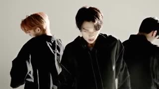 Stray kids