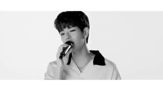Stray kids_ vocals