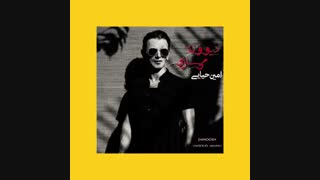 دانلود آهنگ جدید امین حیایی به نام دیوونه میسازی