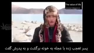 داستان سنگ دو دلاری