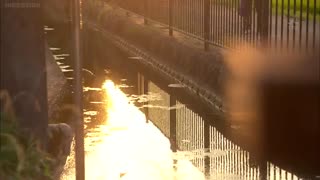 قسمت اول سریال ژاپنی بسیار زیبای با من بعد از مدرسه قرار بزار (قرارت با من بعد از مدرسه)همراه با زیرنویس فارسی