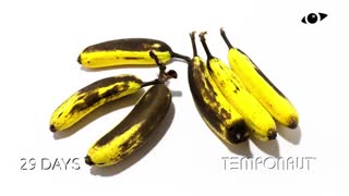 تایم لپس از دوران کالی تا فرسایش موز
