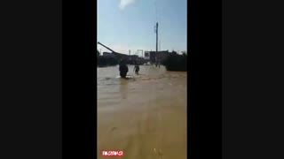 مسئولان در خواب
