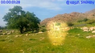 غیب شد ؟؟؟؟؟؟