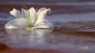 Franck Pourcel - Morir de Amorموزیک ویدیوی رومانتیک