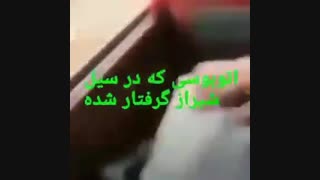 آخرین گفتگوی های دردناک مادر و دختری گرفتار در یک اتوبوس توریستی در سیل شیراز