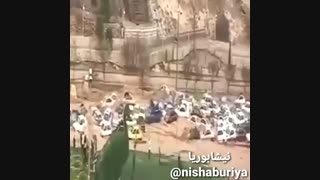 سیل داره اونهمه ماشین رو مثل توپ پلاستیکی با خودش میبره ( سیلاب وحشتناک در دروازه قرآن شیراز)