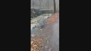 رود خانه دولت آباد (مشهد)