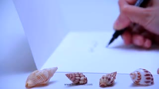 ویدئو تبریک سال نو آرادرما