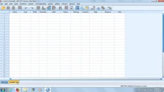 SPSS 2 (P1)