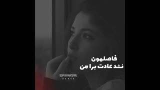 میدونست که چقدر زیاد دوستش دارم...