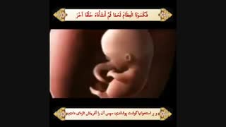 مراحل خلقت انسان در قرآن-جنبش السابقون