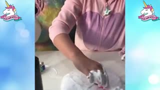 مجموع اسلآیم هاے خرآب^^flw