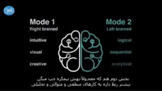 بیشتر از کدام نیم کره مغزتان استفاده می کنید؟