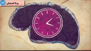 ساعت بیولوژیک بدن انسان چگونه کار می کند؟