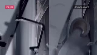 کولرگازی الجی دوال کول