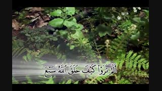 ترجمه تصویری سوره نوح