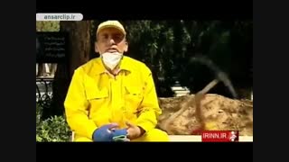 ماجراهای عجیب از زبان گورکن های بهشت زهرا